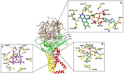 Discovering Novel Alternaria solani Succinate Dehydrogenase Inhibitors by in Silico Modeling and Virtual Screening Strategies to Combat Early Blight